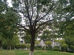 -安徽大学(磬苑校区)