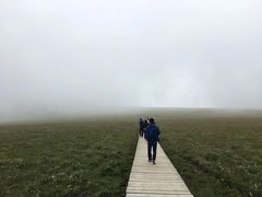 -芦芽山旅游度假区