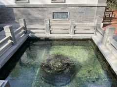 -趵突泉景区