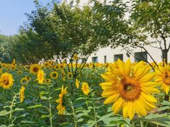 -北京国家会计学院
