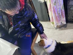 -阿尔法海鲜排档(爱琴海店)