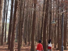 -佛冈森波拉度假区