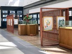-上海市第一人民医院(松江南部)