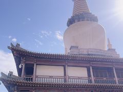 -张掖大佛寺景区