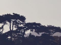 -妙峰山风景名胜区