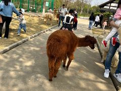-太阳岛度假酒店