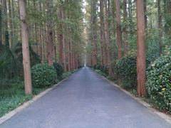 -上海怡沁园度假酒店