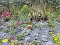 -中国科学院西双版纳热带植物园