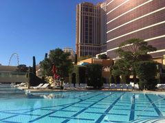 -拉斯维加斯永利酒店