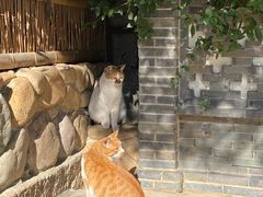 -龙华寺