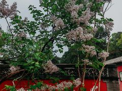 -潭柘寺景区