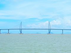 -港珠澳大桥(珠海段)