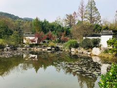 -杭州植物园