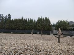 -侵华日军南京大屠杀遇难同胞纪念馆-停车场