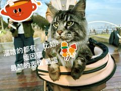 -Manner Coffee(徐汇滨江店)