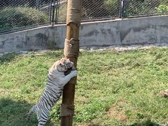 -石家庄市动物园