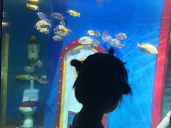 -大连圣亚海洋世界