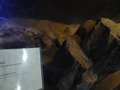 -抚顺煤矿博物馆