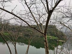 -重庆彩云湖湿地公园