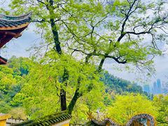 -涂山寺素食餐厅