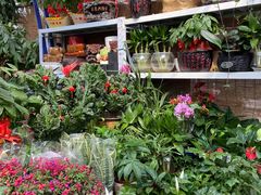 -秦美花卉(天朗·莱茵小城2期店)