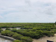 -北海金海湾红树林生态旅游区