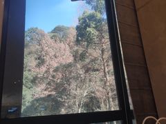 -天明山温泉大酒店
