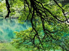 -叠溪松坪沟景区