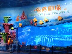 -西安曲江海洋极地公园