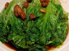 金蒜罗马生菜-奉天掌柜·非遗猪手·笨饺子(崇山路店)
