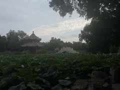 -莲池书院博物馆