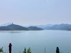 -望湖烤鱼