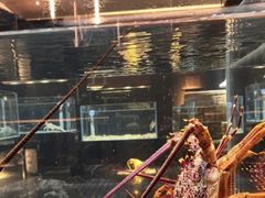 -璞御·海鲜·雪花牛肉局(宾水西道店)