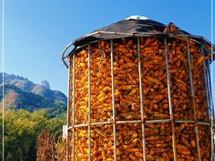 -云岫谷游猎自然风景区