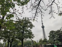 -文华公园(禅城区)