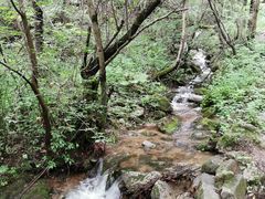 -秦岭风景区