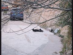 -长沙黑麋峰国家森林公园