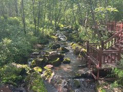 -汤旺河林海奇石景区