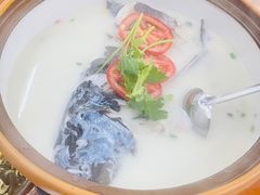 -全乐鱼馆·淳牌有机鱼直营店