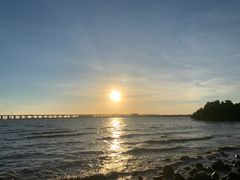 -宝安西湾红树林湿地公园