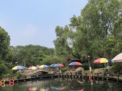 -白马涧龙池景区