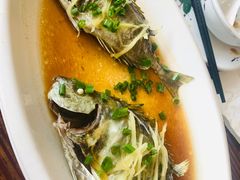 -张家卫·阳江菜·小海鲜(肥婆湾桥店)