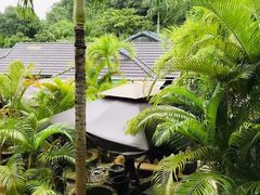 -100蛋泥浆浴