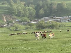-新疆那拉提国家旅游度假区