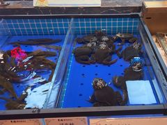 -黑金·寻焰自助百汇·烤肉·火锅(中街店)