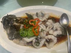 -绿岛国际酒店·海鲜酒楼(八七路店)