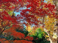 -虞山风景区