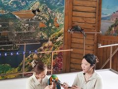 -燕塞湖鸟语林景区