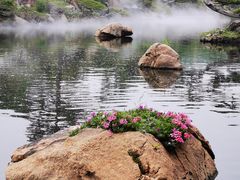 -罗红摄影艺术馆