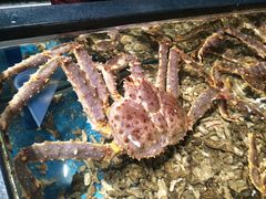-盒马鲜生(曜一城店)